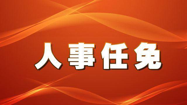 南宁市最新人事任免动态概览